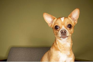 《迸发》系列开发商Deck 13新作将采用虚幻5 2026年发售